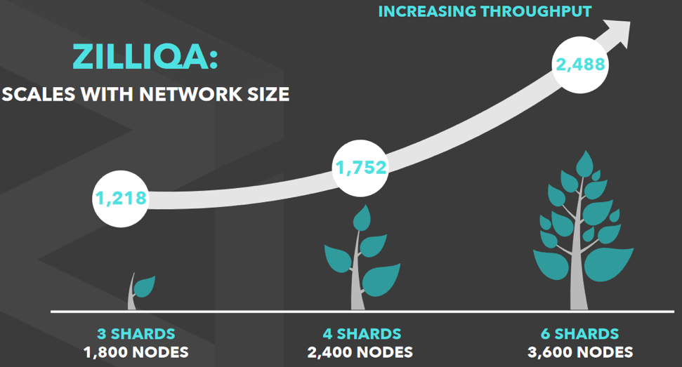 zilliqa sharding